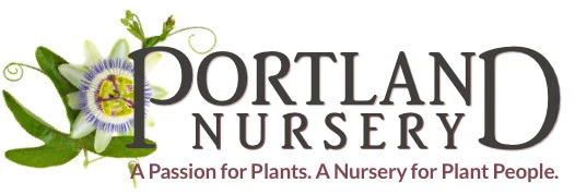 Portland Nursery