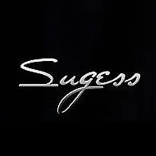 Sugess Watch