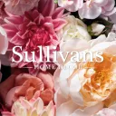 Sullivans Home Decor