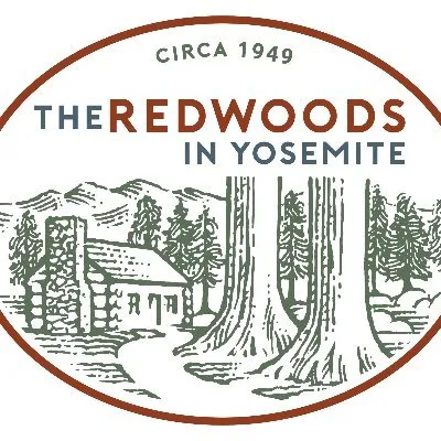 Redwoods In Yosemite