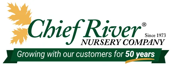 Chief River Nursery