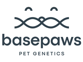 Basepaws